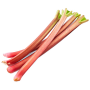 Rhubarb-PNG-Free-Image